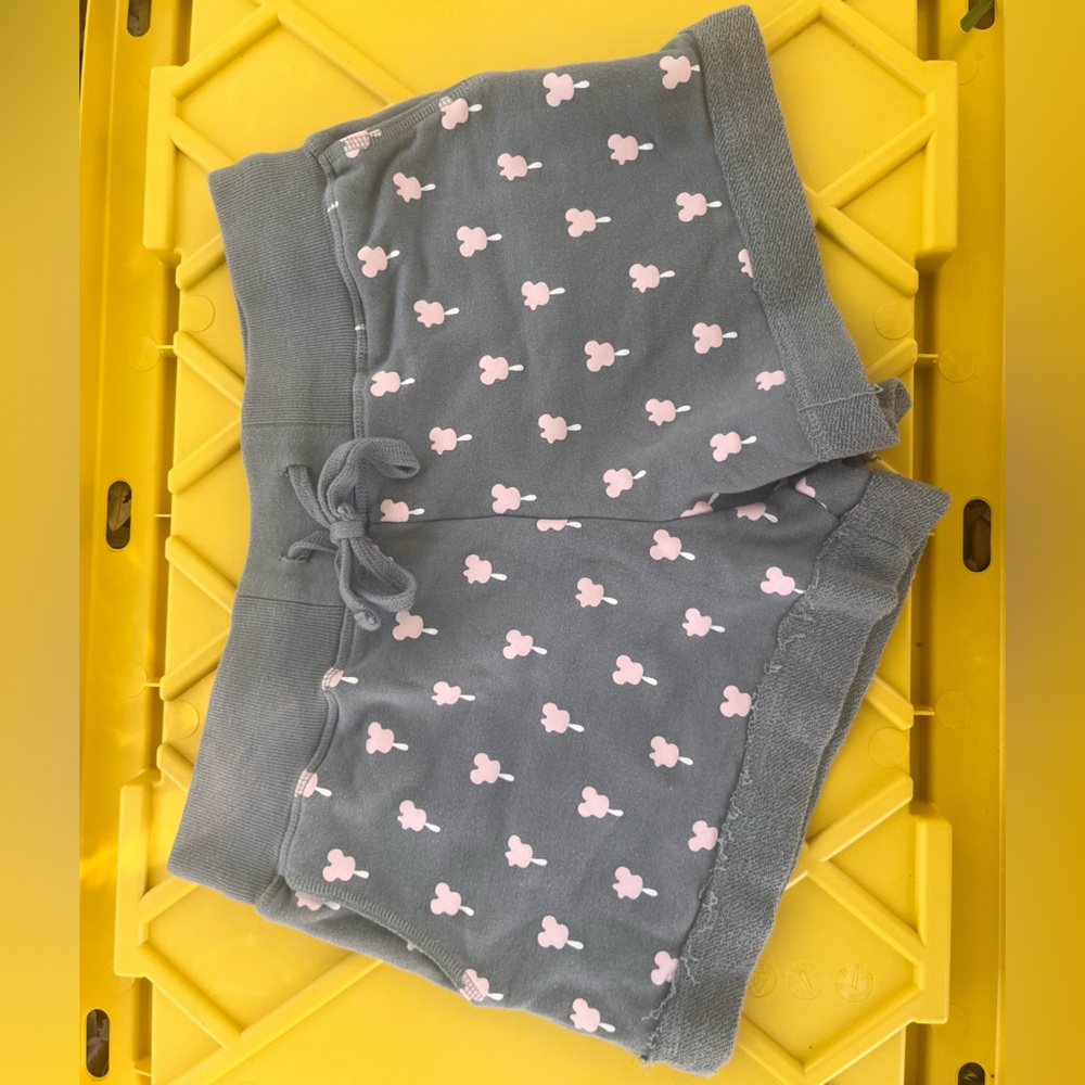 Walt Disney World Shorts